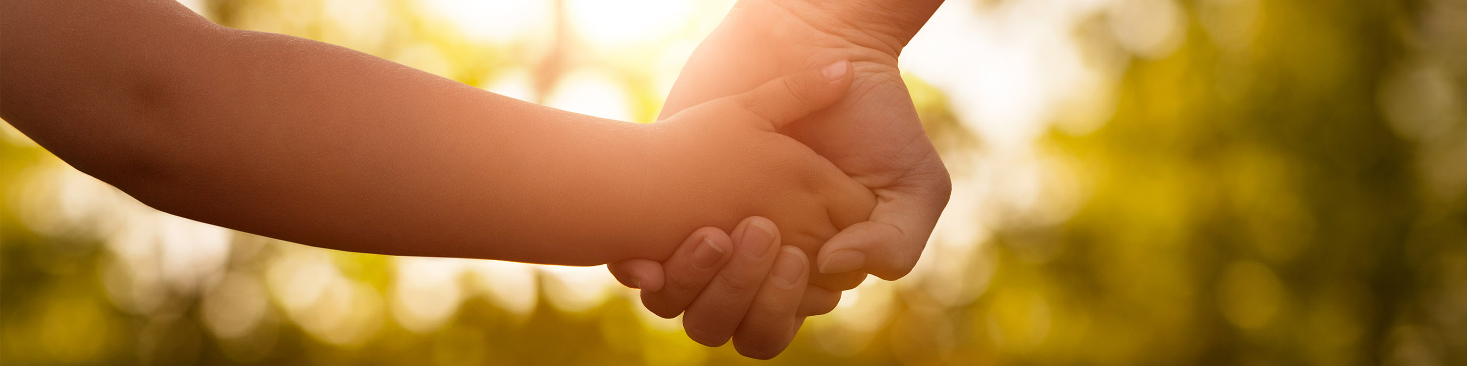CAA Niagara Community Boost Program