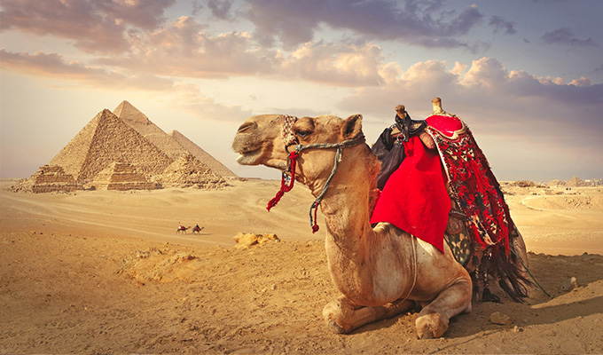 Wonders of Egypt and Jordan Experience