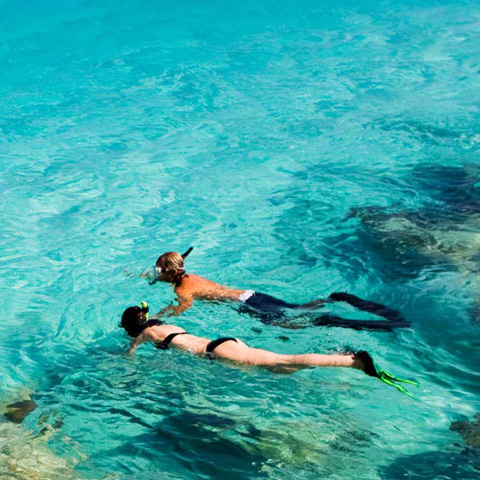 Couple Snorkeling