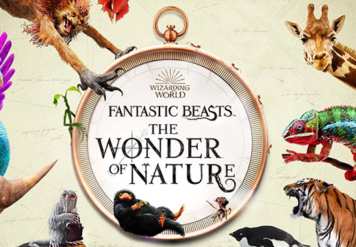 Fantastic Beasts: The Wonder of Nature