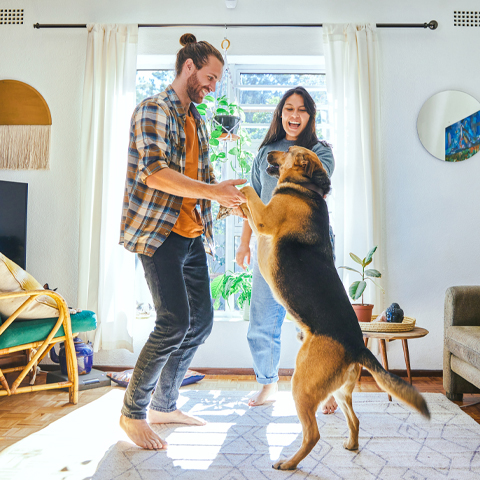 man and woman dancing with dog