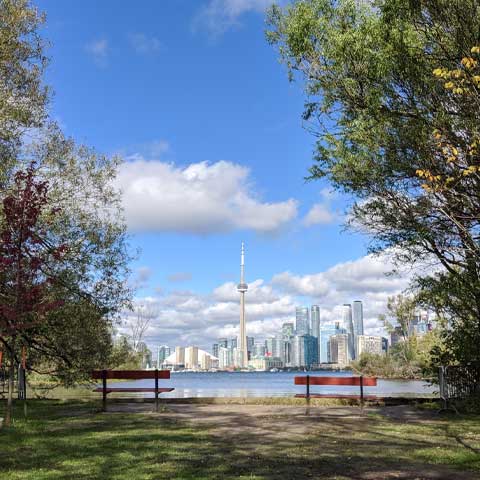 A Day on the Toronto Islands