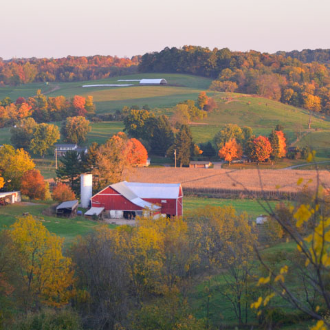 Ohio Fall Colours & Amish Experience