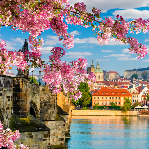 Scenic Prague panorama with Hradcany castle and Vltava river