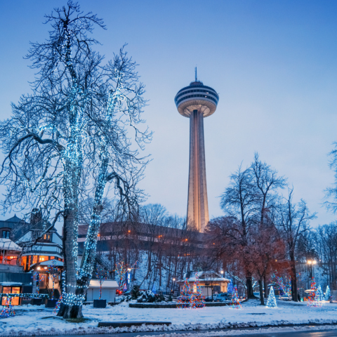 Festival of Lights Niagara Falls