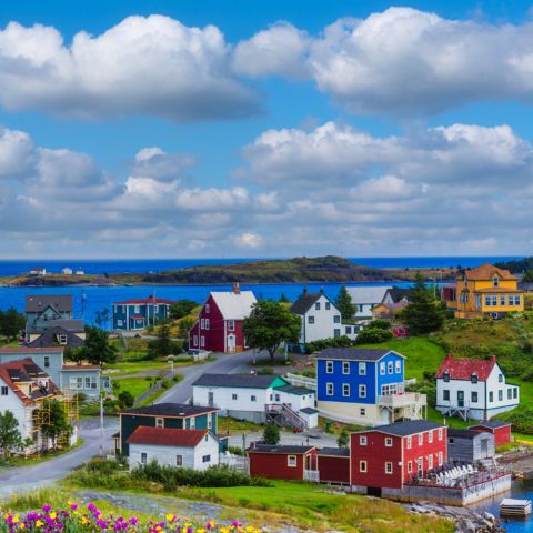 along the coast of Newfoundland and Labrador