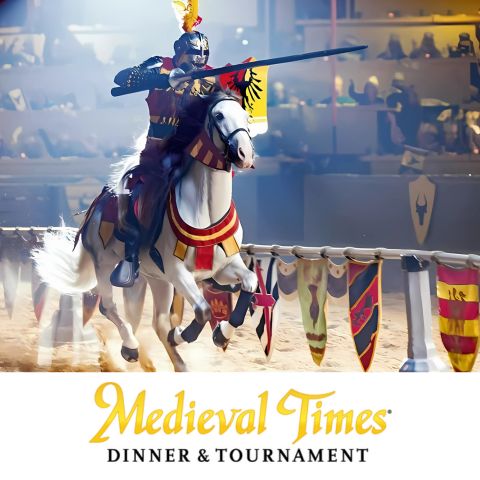 Medieval Times logo and Knight jousting