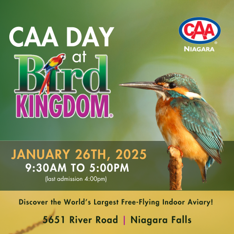 bird kingdom and caa niagara logo with image of bird