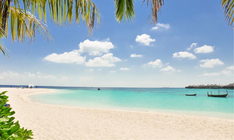 Carribean beach shore