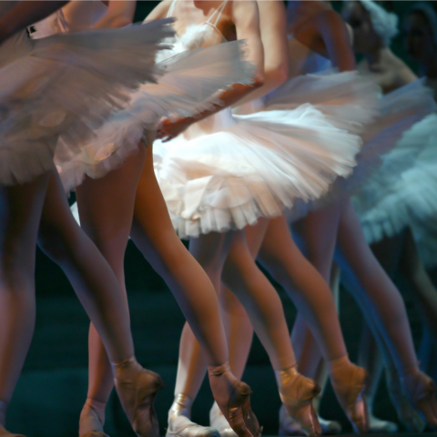 classic ballet swan lake