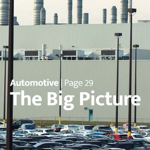 The Big Picture