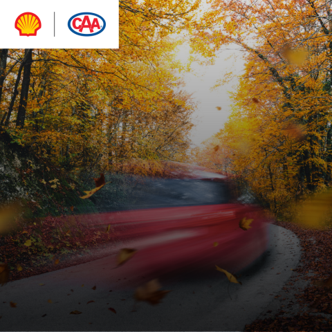 Shell Banner