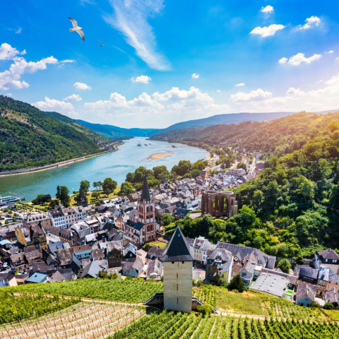 Bacharach panoramic view, small town in Rhine valley