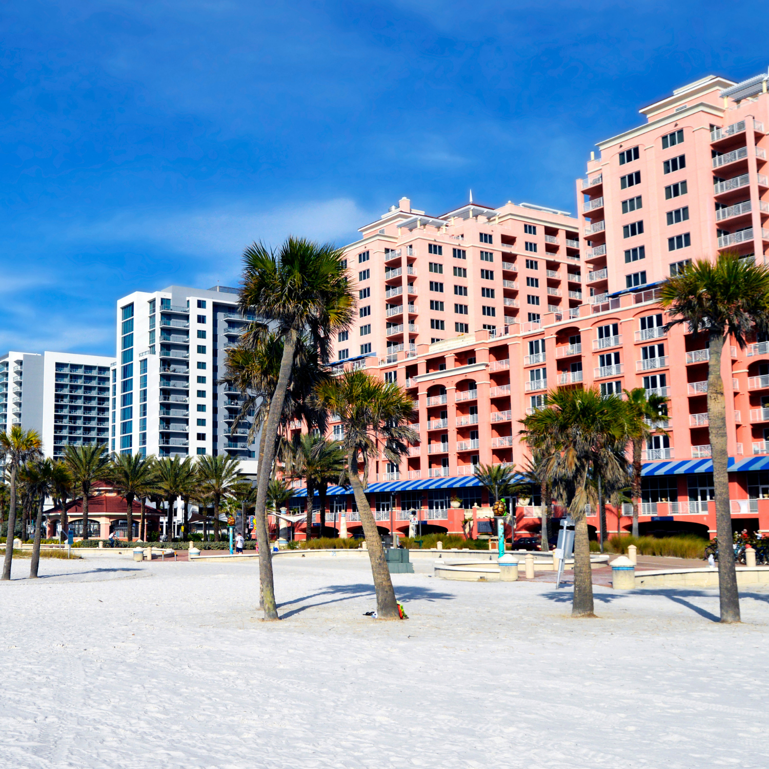 Sand and palm trees with hotels in the background on Clearwater Beach