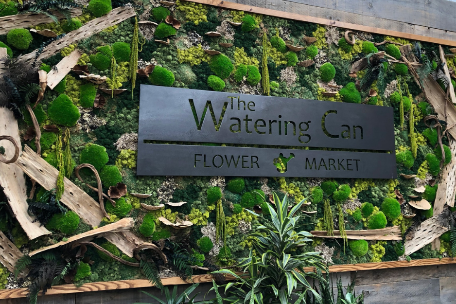 the watering can logo on a moss and driftwood background