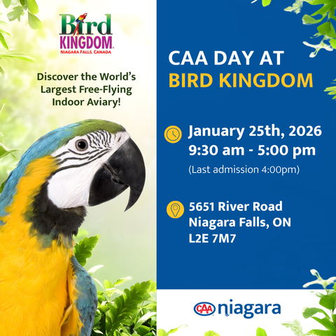 CAA Day at Bird Kingdom