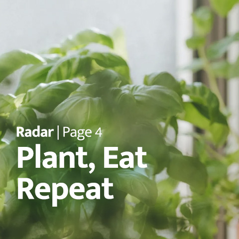 Radar - Plant, Eat, Repeat