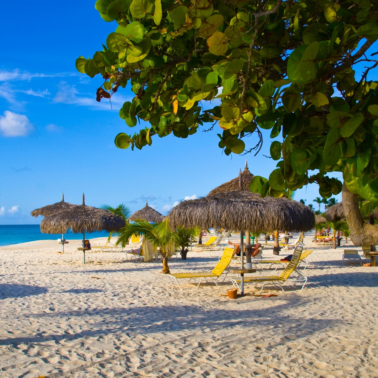 Beautiful beach with palapas and palmtrees, Eagle Beach, Aruba.