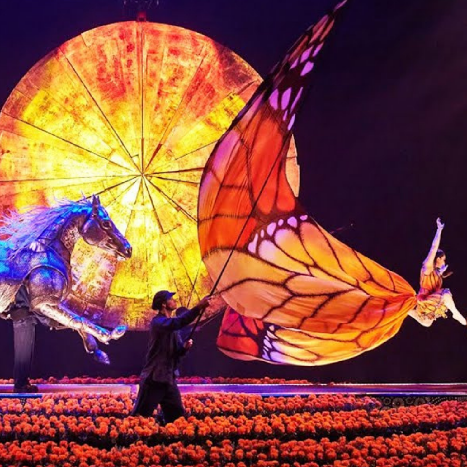 Cirque du Soleil LUZIA performance on stage