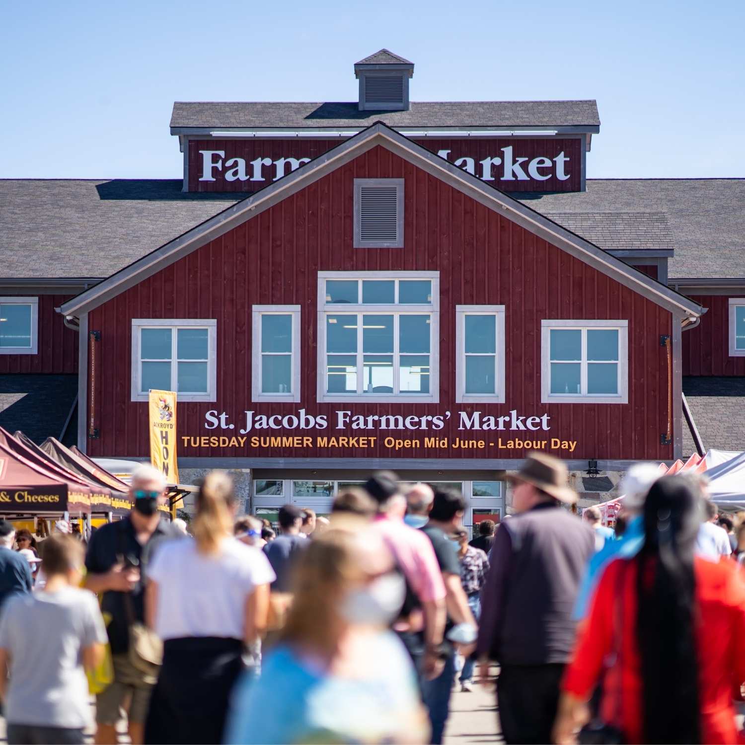outside of the st jacobs farmers market with many shoppers shopping at booths outside on a sunny day