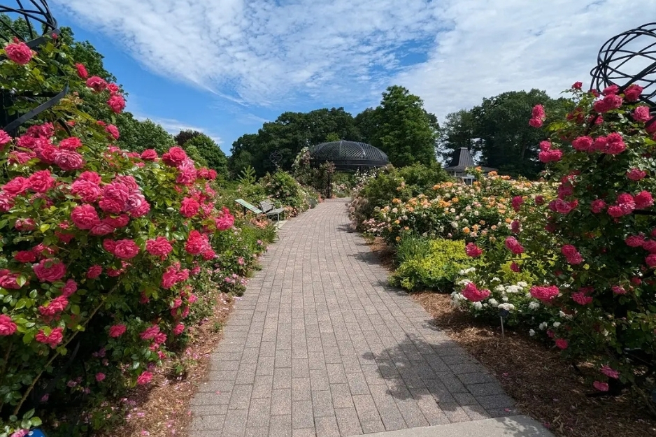 Rose Garden at Royal Botanical Gardens