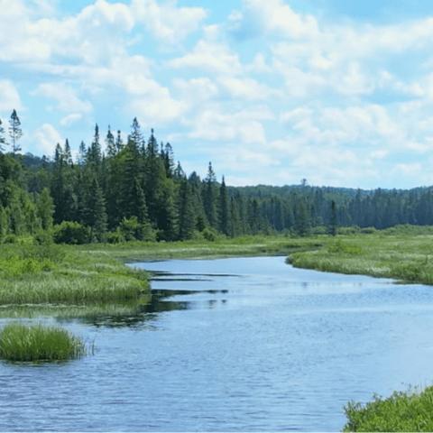 Grand River
