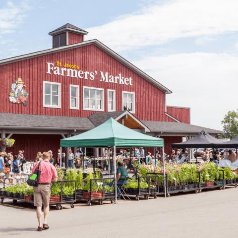 Farmer's Market
