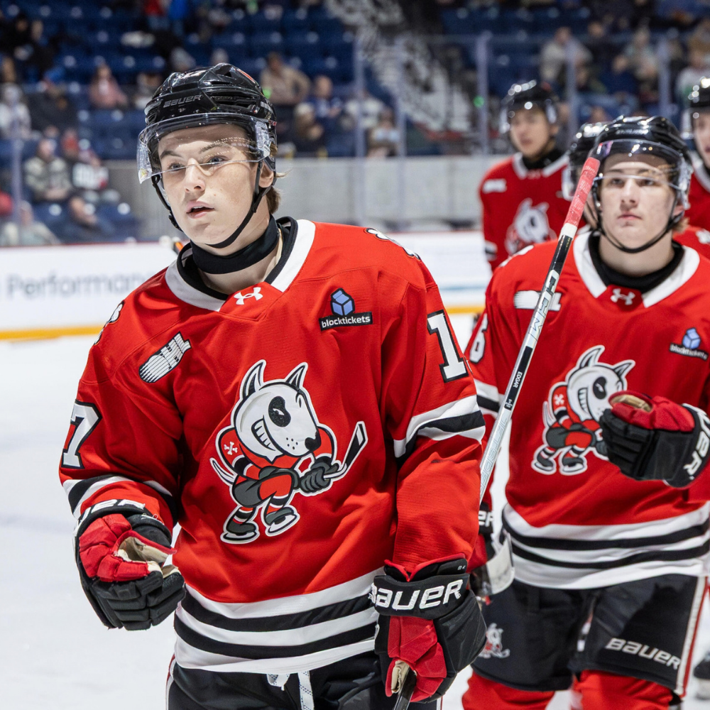 IceDogs
