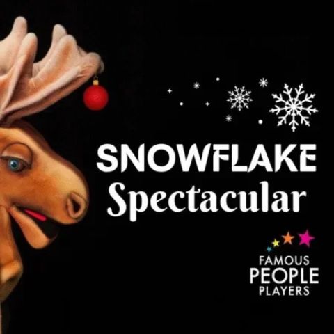 Snowflake Spectacular