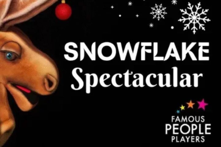 Snowflake Spectacular