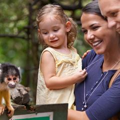 Family at Zoo with Monkey