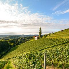 Burgundy River Cruise Adventure – plus Paris