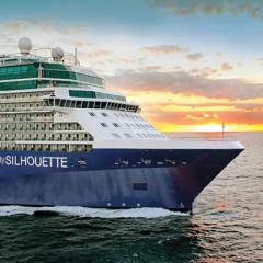 Celebrity Silhouette