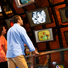 The Walt Disney Family Museum