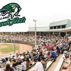 Welland Stadium