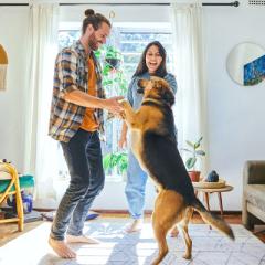 man and woman dancing with dog