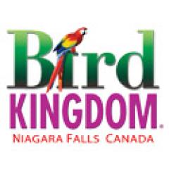 Bird Kingdom Logo