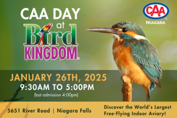 bird kingdom and caa niagara logo with image of bird