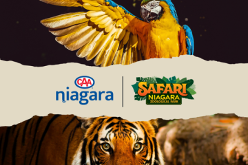 Photo of a tiger and a macaw with CAA and Safari Niagara logos