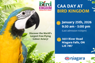 CAA Day at Bird Kingdom