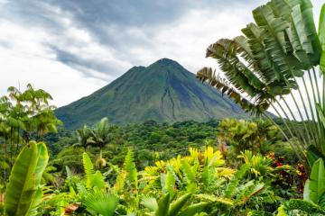 Lush tropical foliage at the foot of the Arenal Volcano in Costa Rica