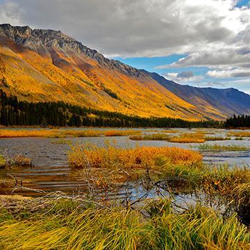 Yukon