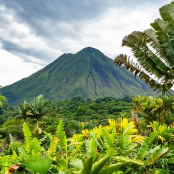 Lush tropical foliage at the foot of the Arenal Volcano in Costa Rica