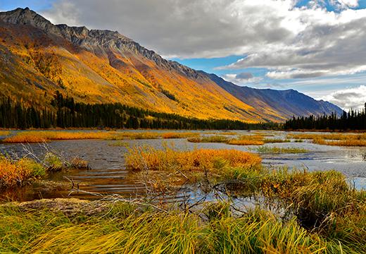 Yukon