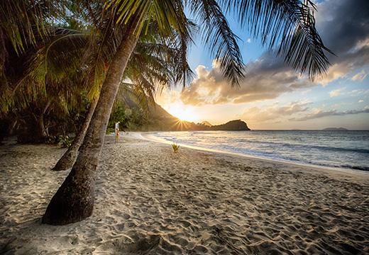 Caribbean Beach