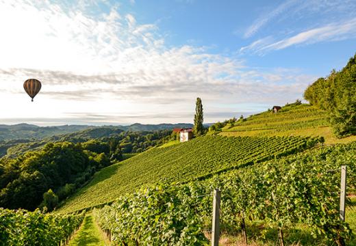 Burgundy River Cruise Adventure – plus Paris