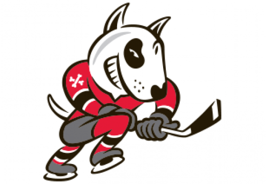 Niagara IceDogs