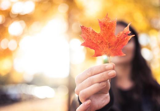 Explore Canada Your Way