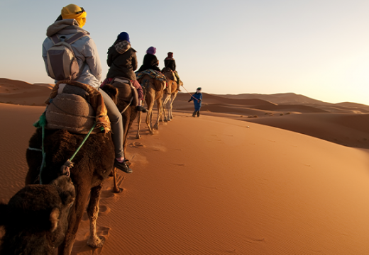 Tourists on a camelback ride in the Sahara Desert