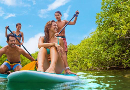 Family paddle boarding